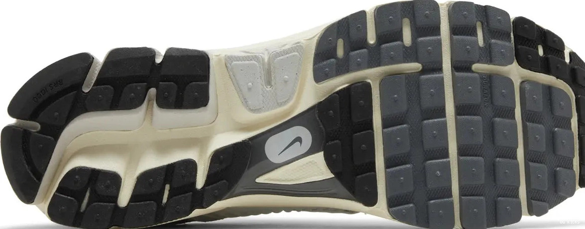 Vomero Nike Zoom 5 Platinum Tint 0731